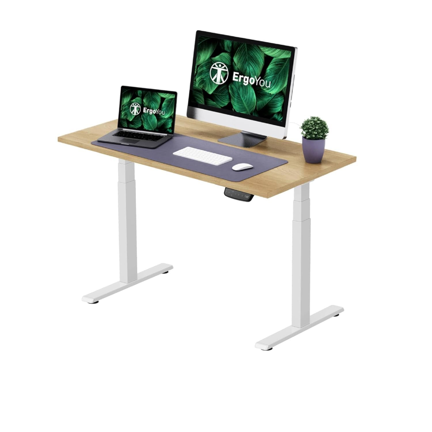 Height Adjustable Desk